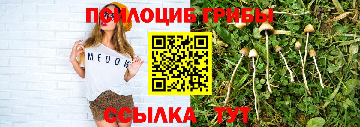 Псилоцибиновые грибы MAGIC MUSHROOMS Тында
